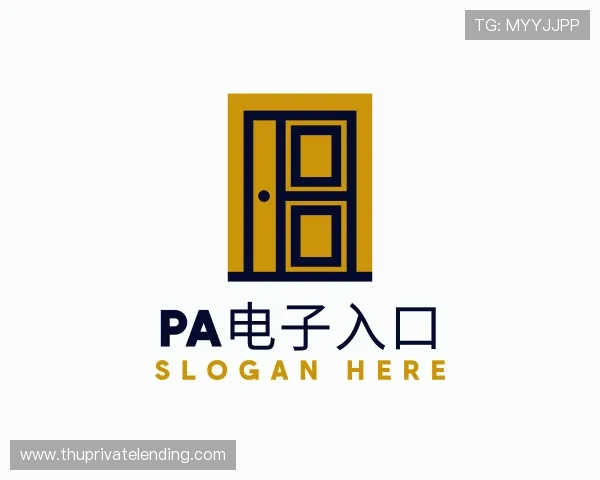 解读PA电子集团